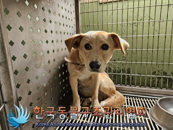 한국동물구조관리협회_441414202400752