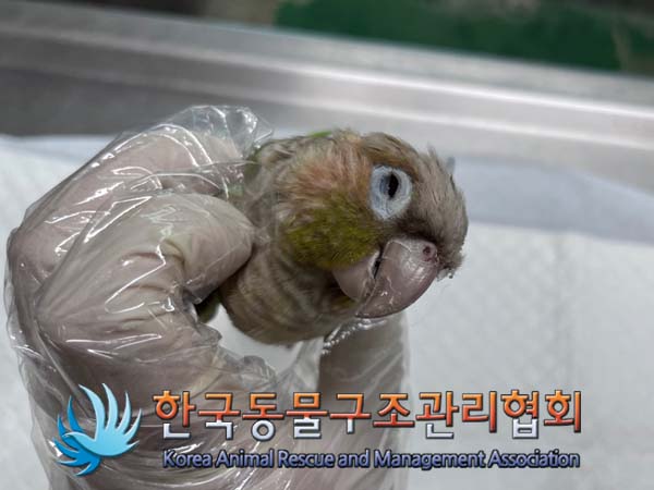 한국동물구조관리협회_411303202400459
