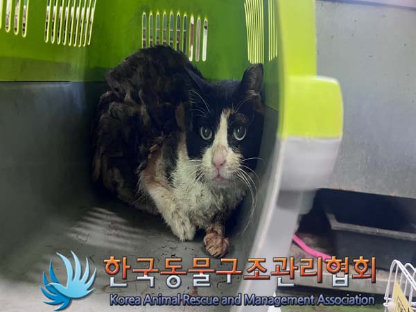 한국동물구조관리협회_411307202400498