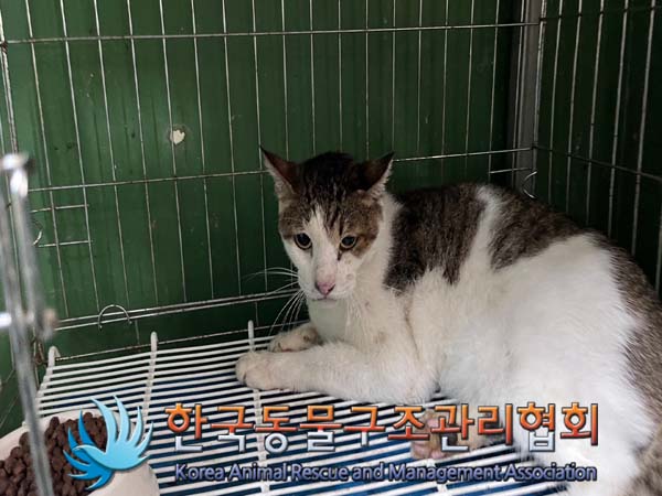 한국동물구조관리협회_411304202400506