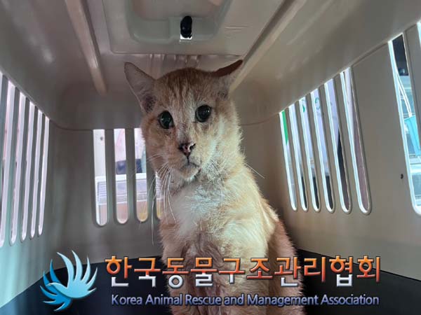 한국동물구조관리협회_411304202400505
