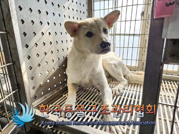 한국동물구조관리협회_411318202400369