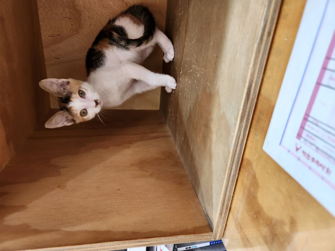 대구시수의사회(동산)_427341202400482