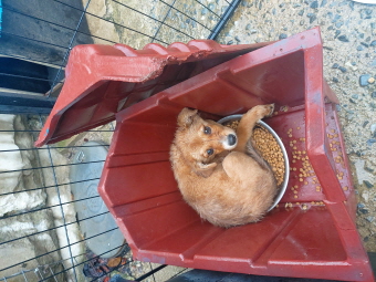 제일동물병원_444455202400579