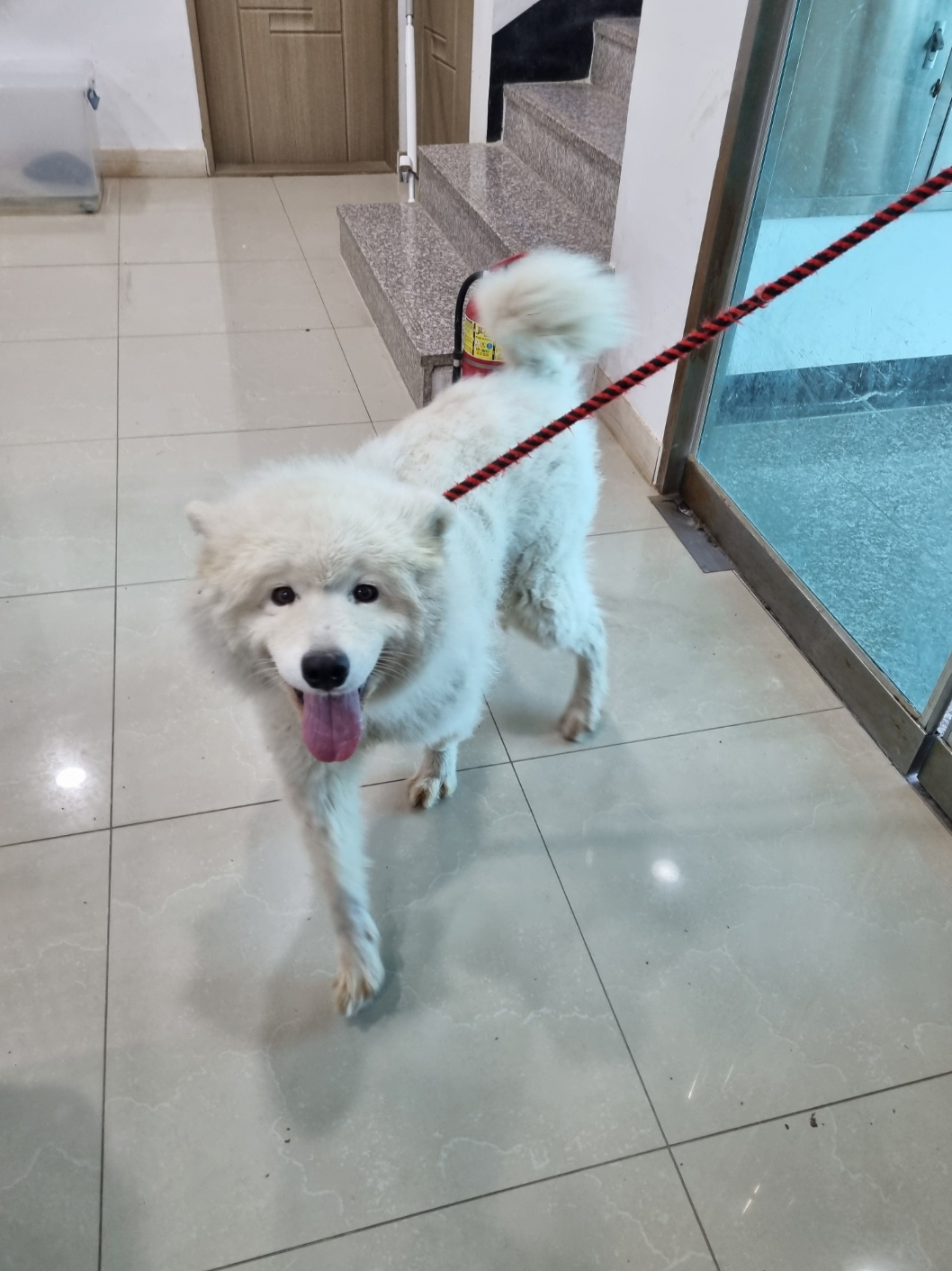 반려동물보호센터_443571202402613