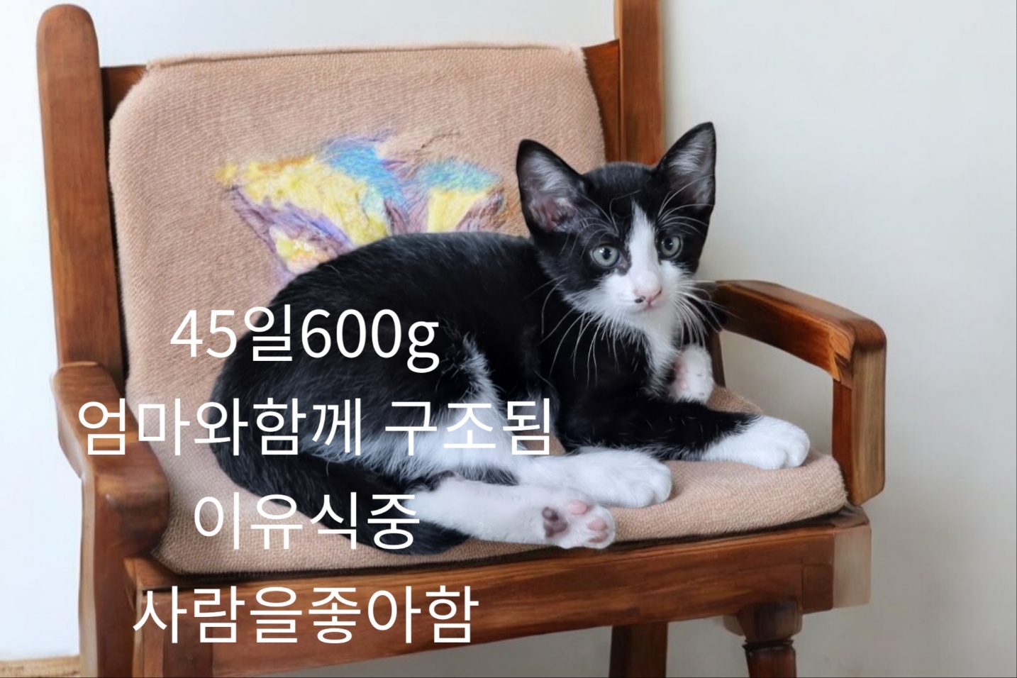 성주유기동물보호센터_447521202400446