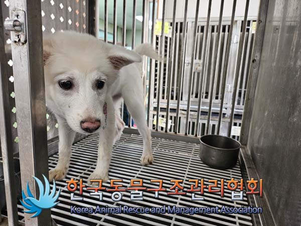 한국동물구조관리협회_411316202400567