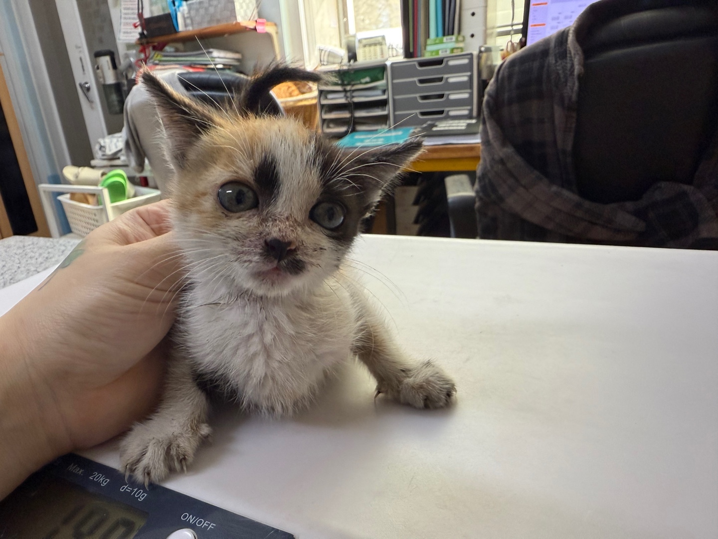 광주 동물보호소_429362202400844
