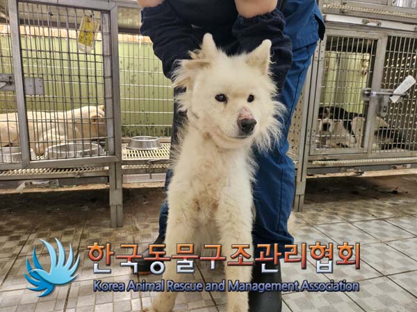 한국동물구조관리협회_441409202401518