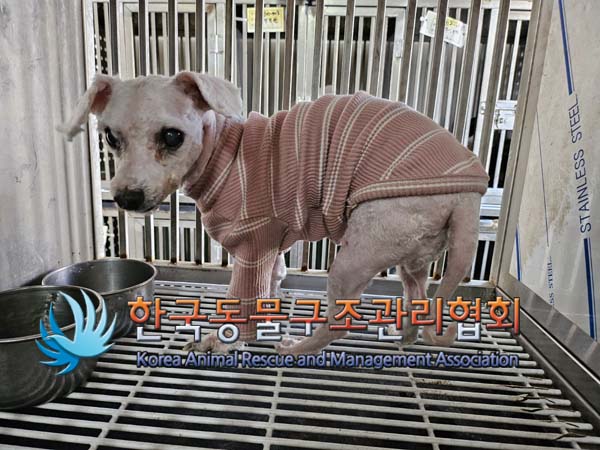 한국동물구조관리협회_411322202400617