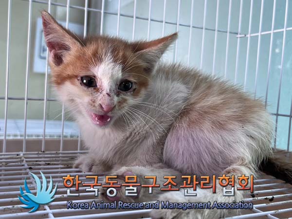 종료(자연사) 한국…