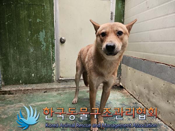 한국동물구조관리협회_441406202401664