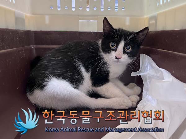 한국동물구조관리협회_411307202400500