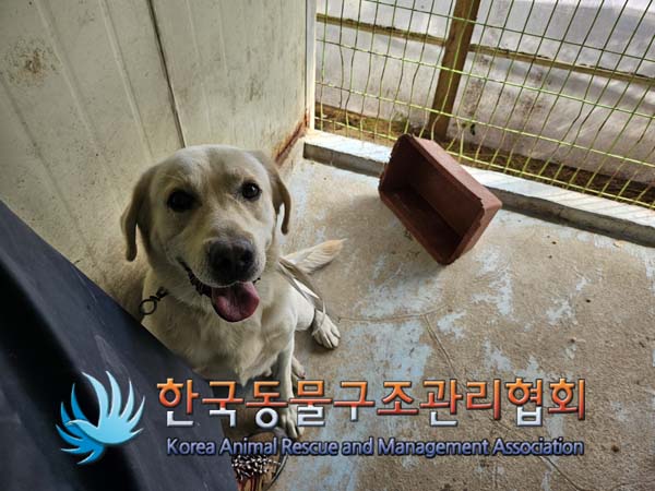 한국동물구조관리협회_441404202400509