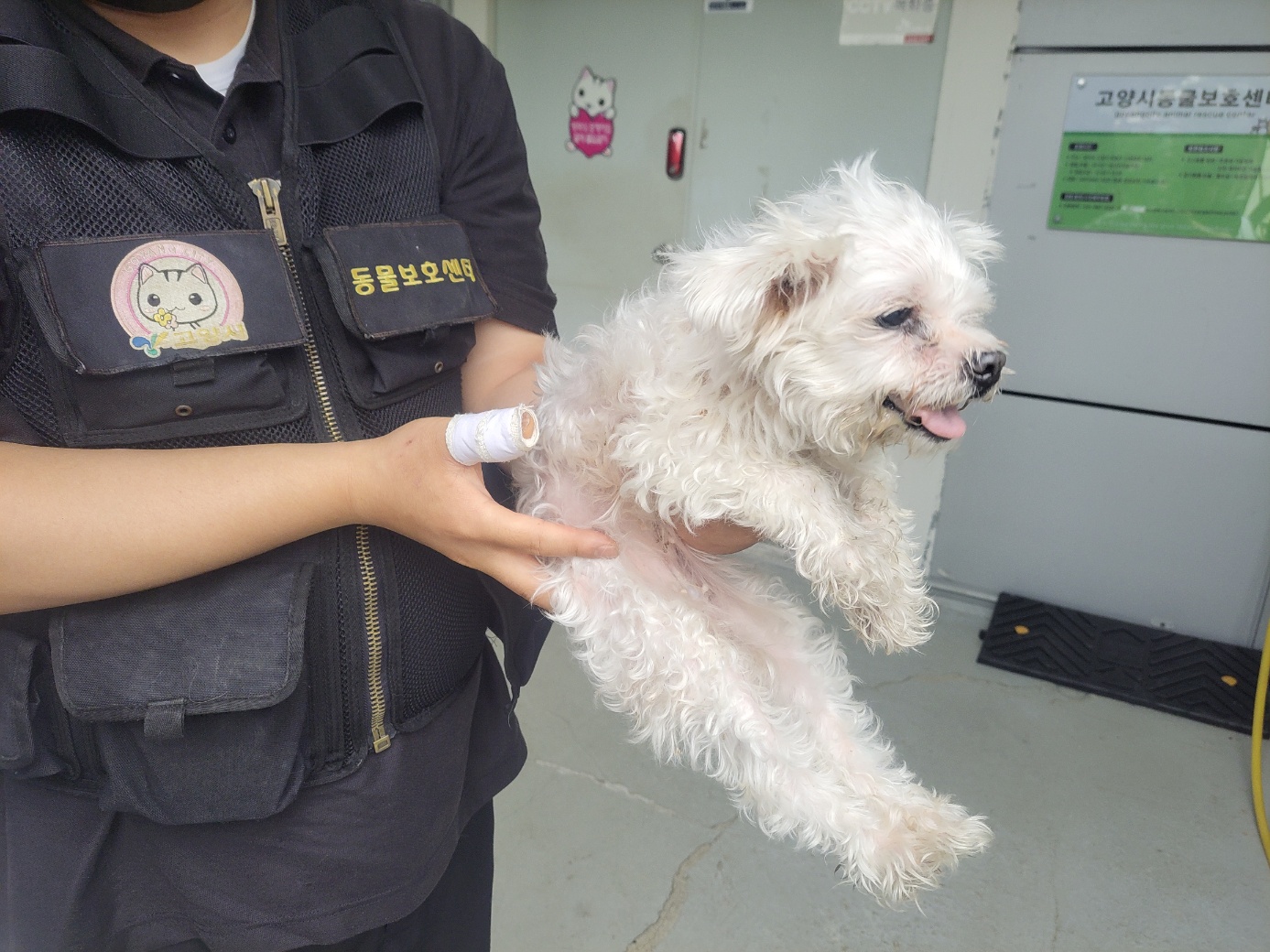 고양시동물보호센터_441394202402028