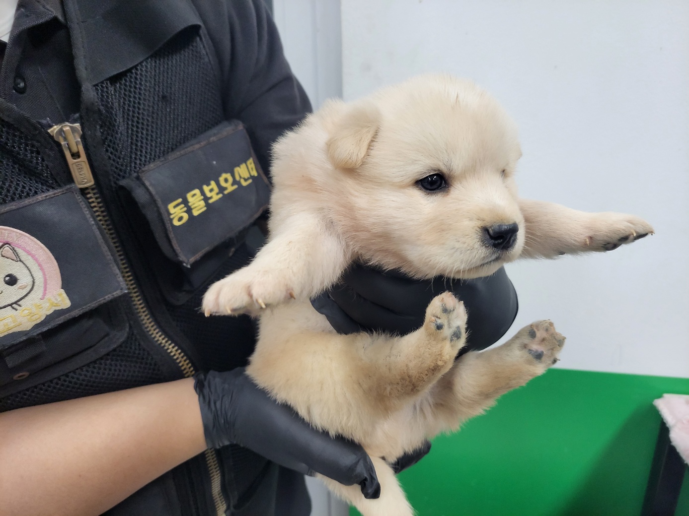 고양시동물보호센터_441394202402024