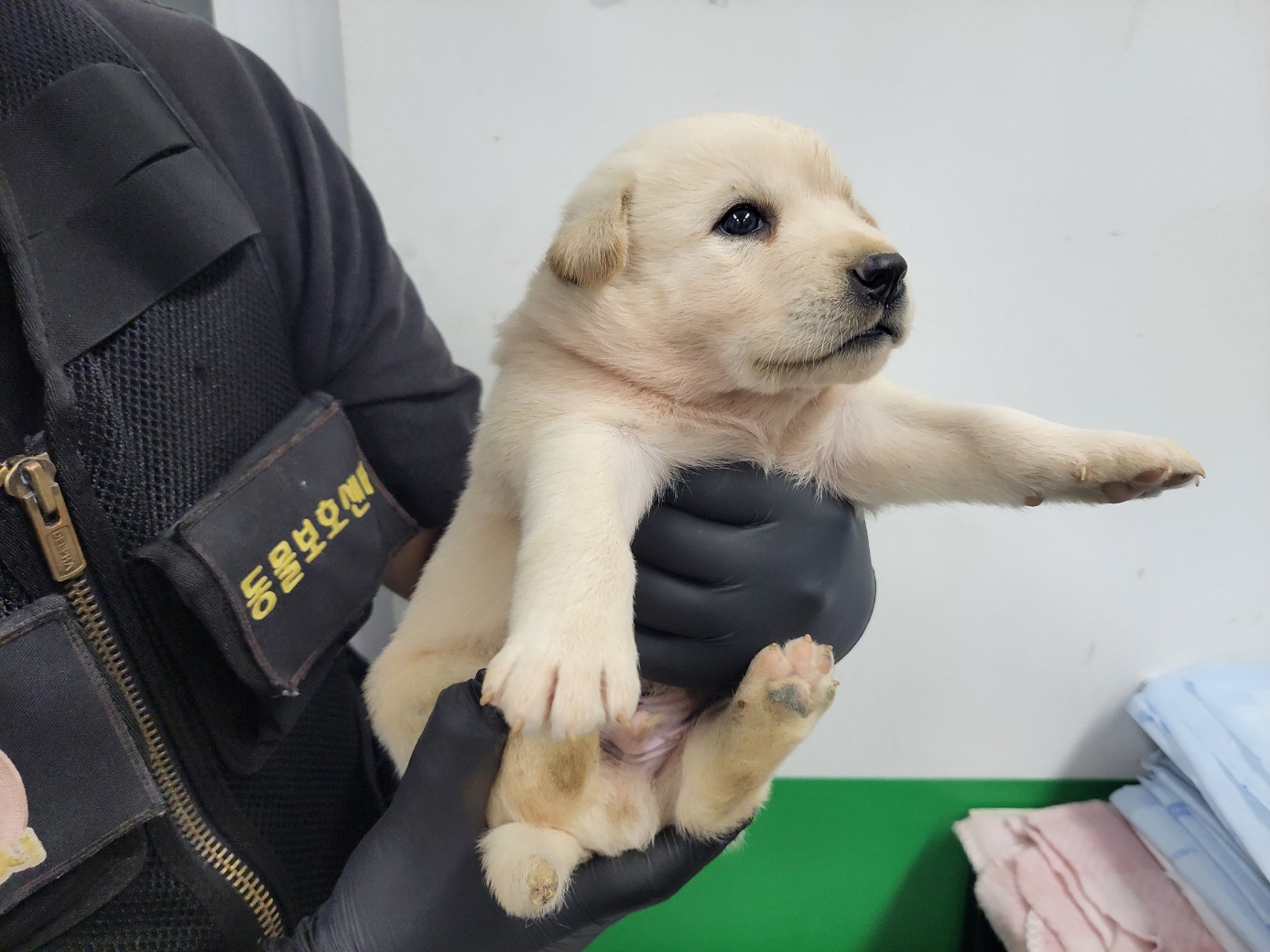고양시동물보호센터_441394202402025