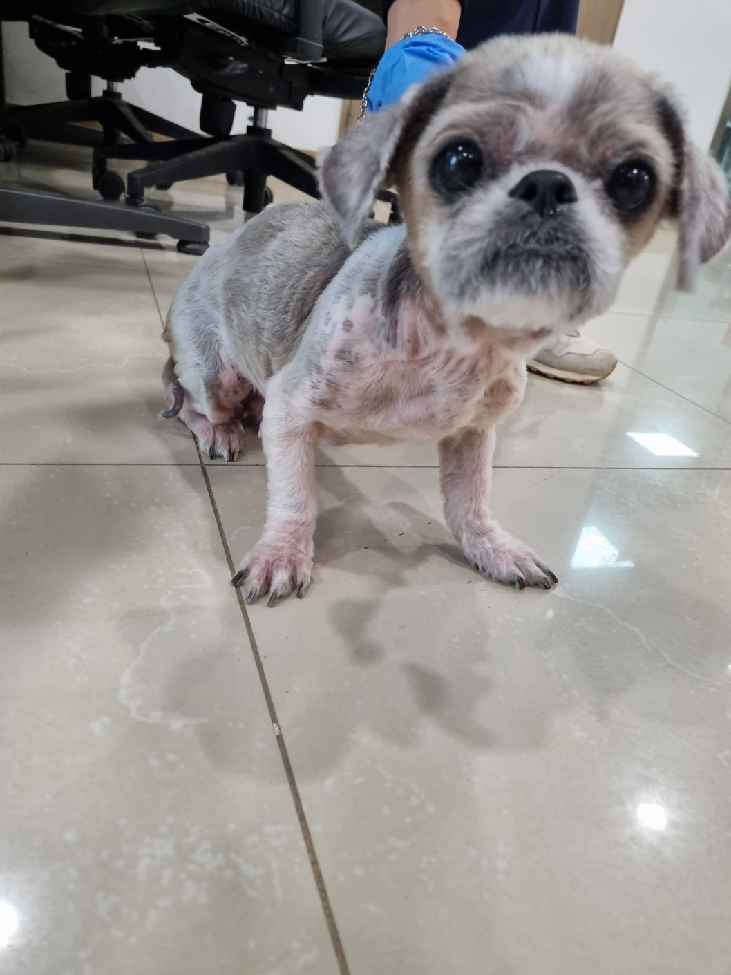 반려동물보호센터_443571202402677