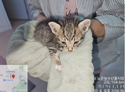 대전동물보호센터_430367202400688