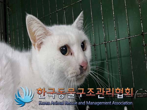 한국동물구조관리협회_411306202400785