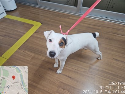 대전동물보호센터_430367202400690