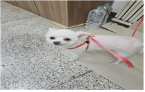 유기동물및관리협회_448535202401184
