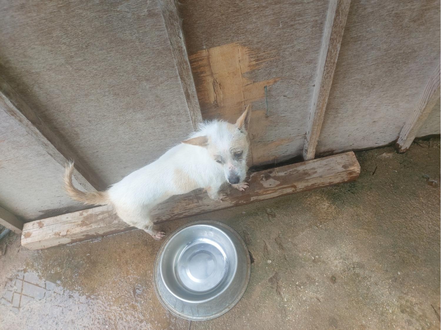 전북말산업복합센터_445471202400655