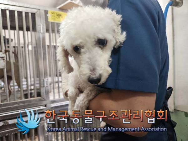 한국동물구조관리협회_411311202400745