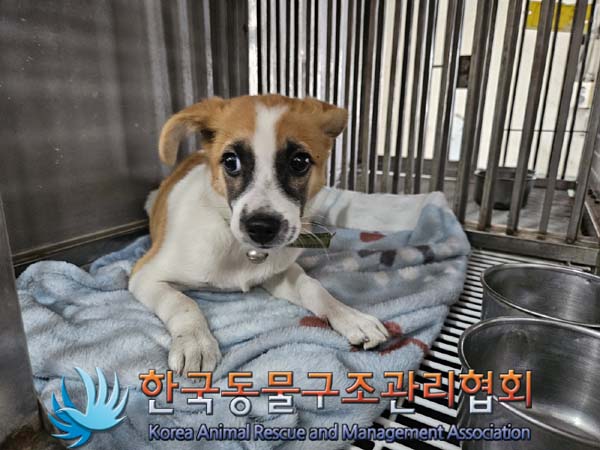 한국동물구조관리협회_411318202400382