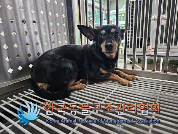 한국동물구조관리협회_411318202400383