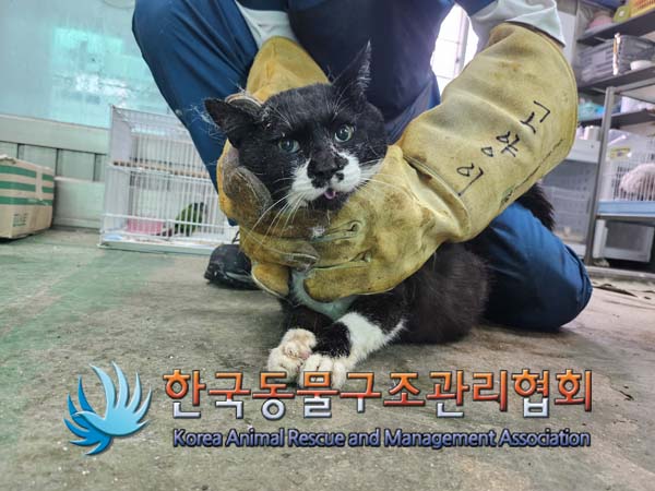 한국동물구조관리협회_441414202400759