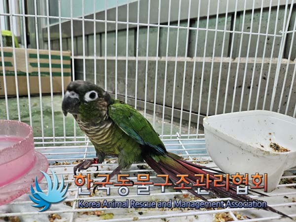 한국동물구조관리협회_411322202400626