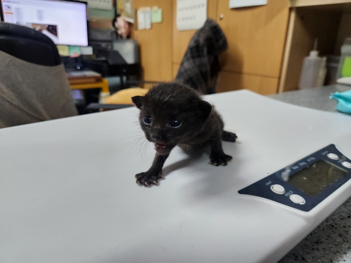 광주 동물보호소_429361202400457