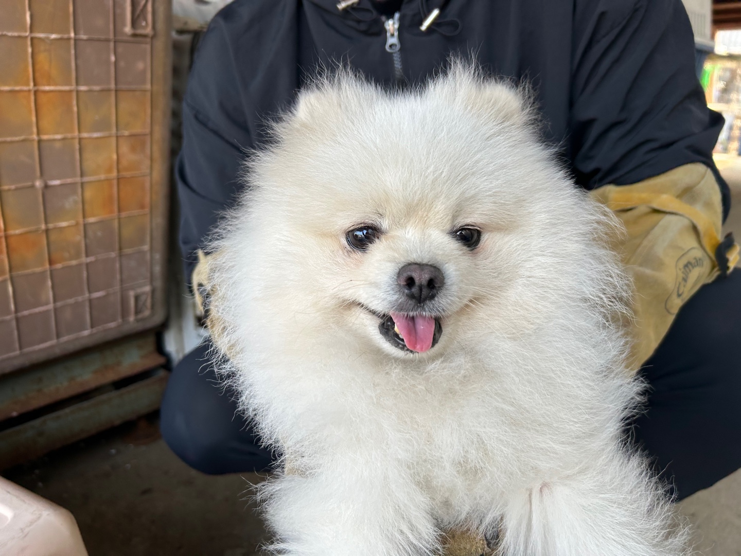 한국야생동물보호협회_441383202400520