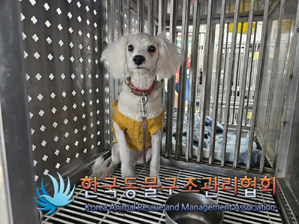 한국동물구조관리협회_441392202400266