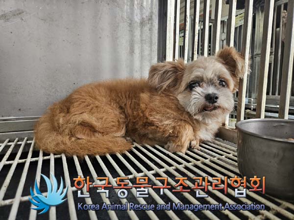한국동물구조관리협회_411315202400496