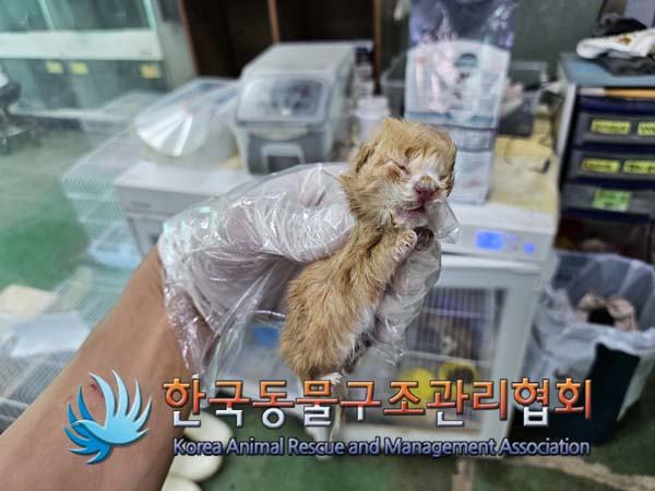 한국동물구조관리협회_411312202400834