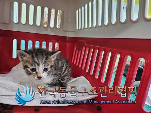 한국동물구조관리협회_441406202401680