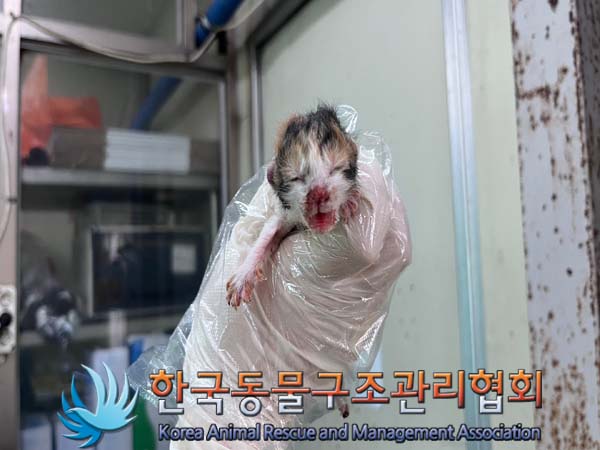 종료(자연사) 한국…