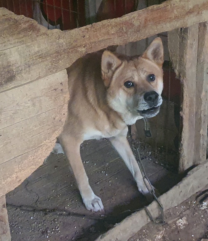 인천광역시수의사회_428351202400690
