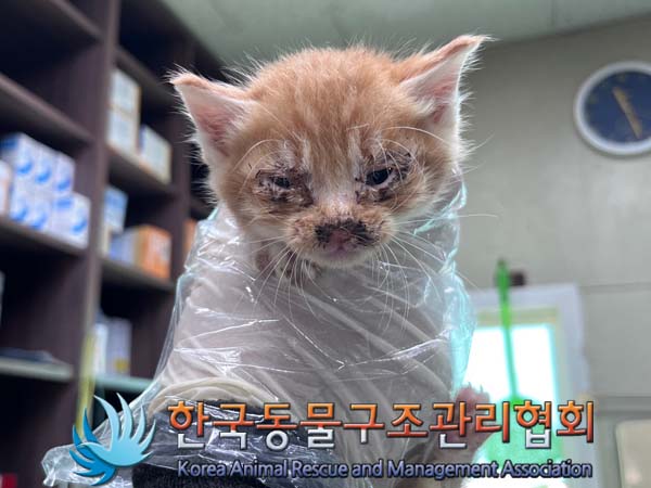 종료(자연사) 한국…