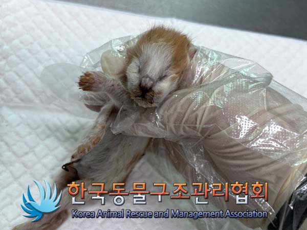 한국동물구조관리협회_441406202401690