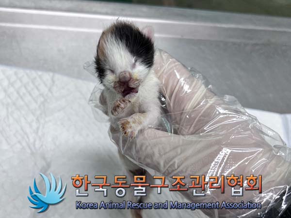 한국동물구조관리협회_441406202401694
