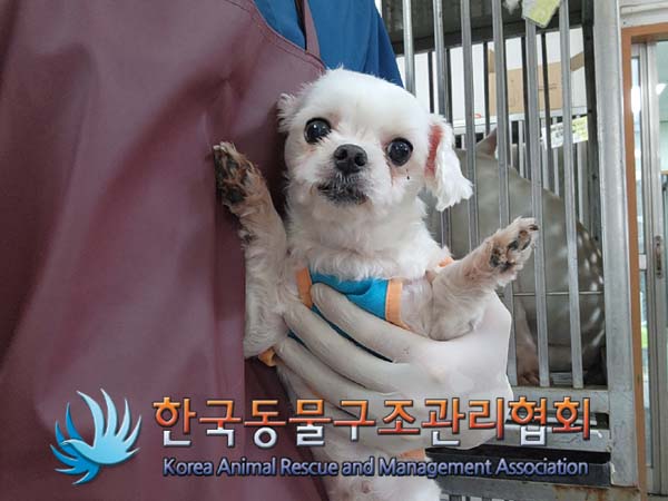 한국동물구조관리협회_441406202401703