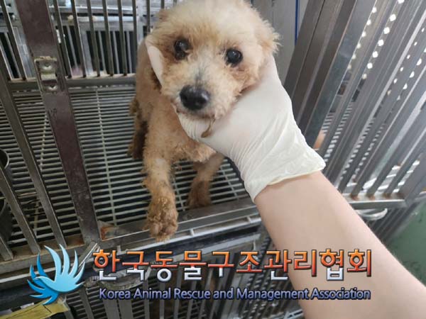 한국동물구조관리협회_411316202400623