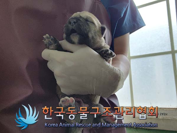 한국동물구조관리협회_441409202401526