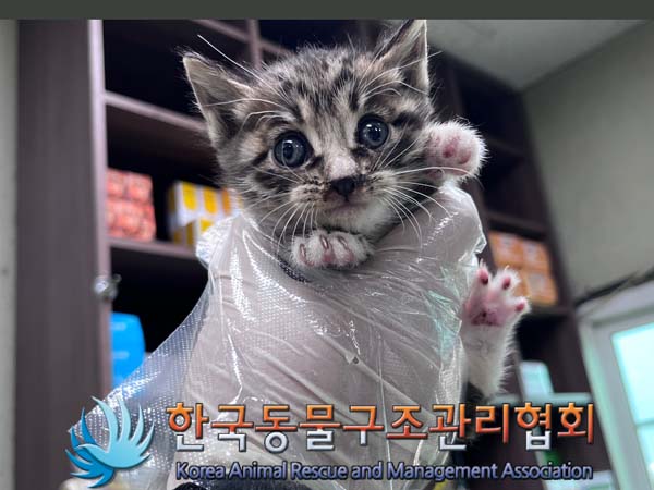 종료(자연사) 한국…