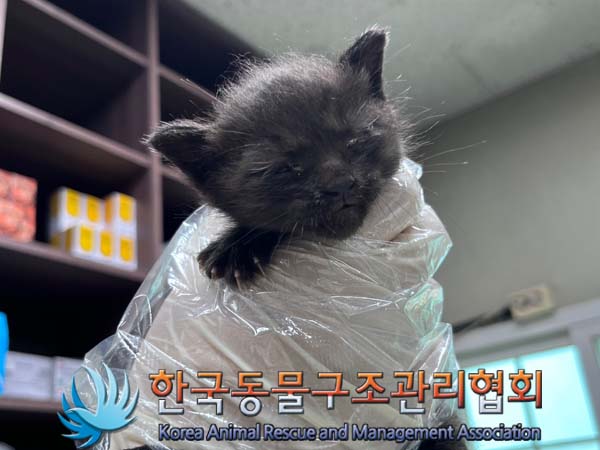 종료(자연사) 한국…