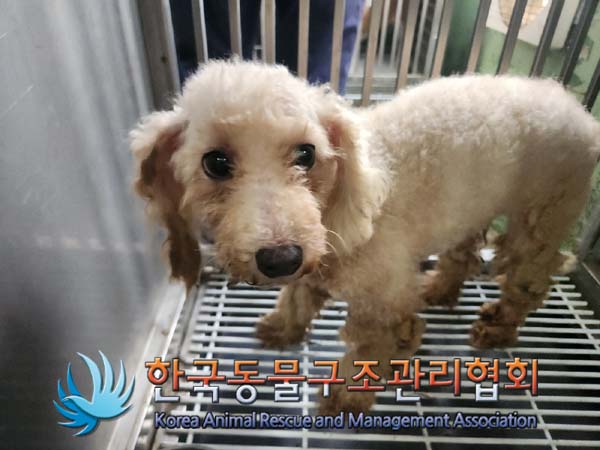 한국동물구조관리협회_411316202400625