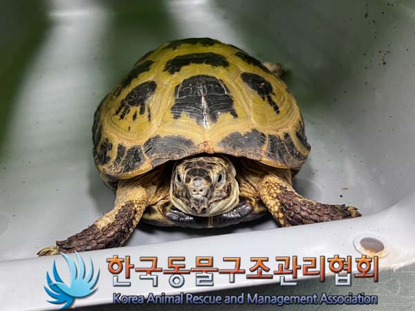 한국동물구조관리협회_411318202400403